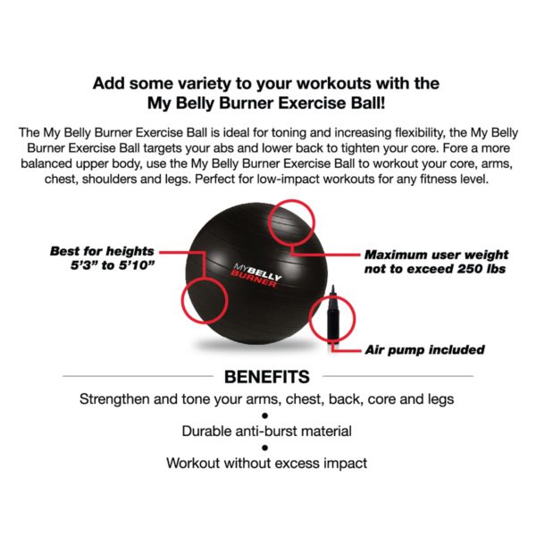 My Belly Burner Exercise Ball Features